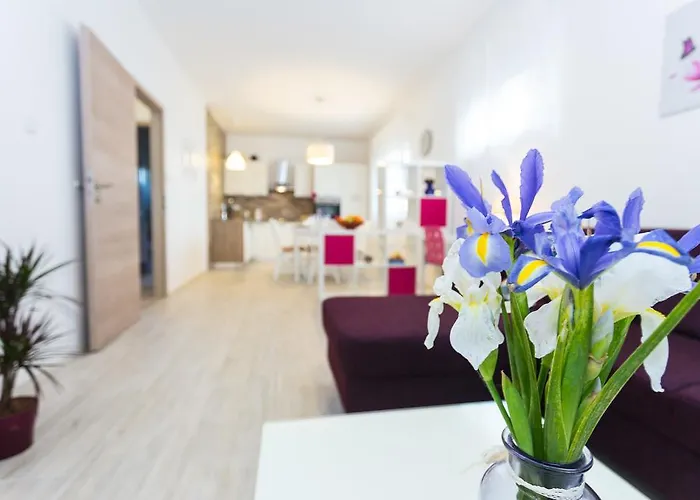 Perunika * زادار